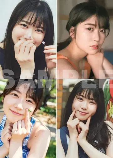 니부 아카리 L판 사진 20장 세트