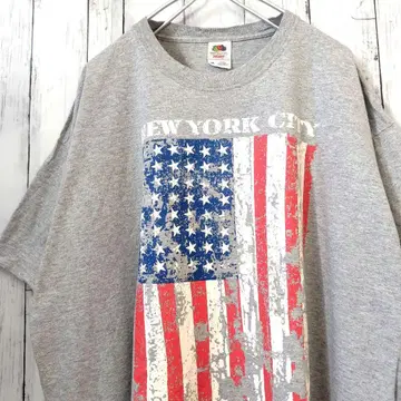 프룻 오브 더 룸 별 깃발 빅 사이즈 티셔츠 그레이 2XL 구제 의류