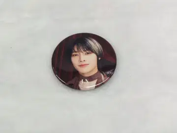 StrayKids 2024 109 XMAS POP UP I.N 캔뱃지 A