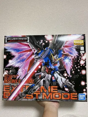 MG 1/100 데스티니 건담 익스트림 블라스트 모드