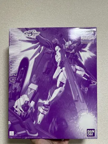 MG 1/100 데스티니 임펄스 건담 R