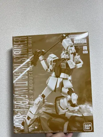 MG 1/100 헬스장 II 세미 스트라이커