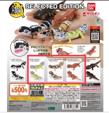 생물대도감 레프티 피규어 도마뱀 레오파 크레스티드 게코