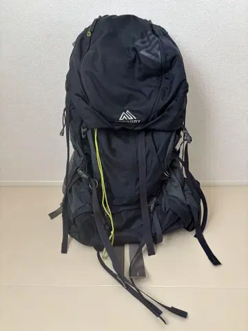 GREGORY BALTORO65 그레고리 등산 백팩 아웃도어