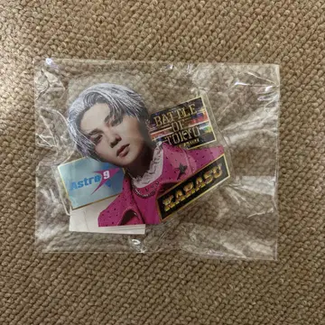 야기 유세이 핀 배지 BOT
