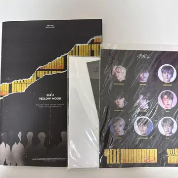 StrayKids YELLOW WOOD 한정판 장빈