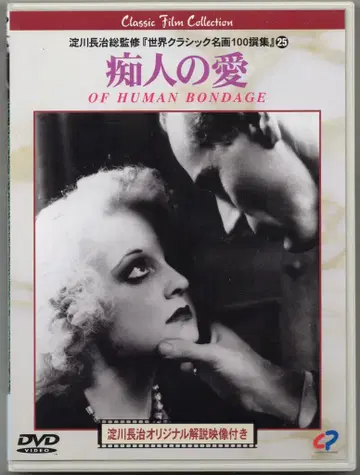 일본 국내 영화 DVD