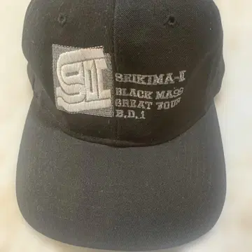 세이지마 II 캡