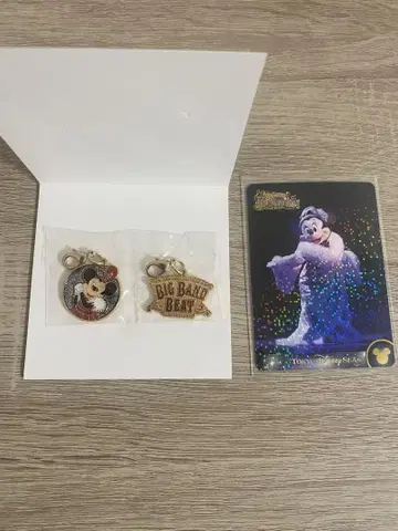 BBB 빅 밴드 비트 참 컬렉션 카드 미니