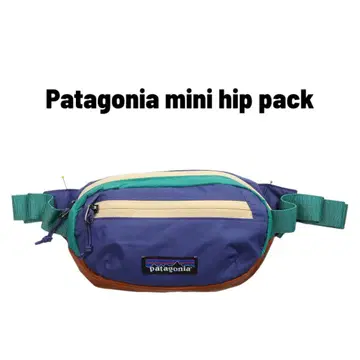 Patagonia mini hip pack 파타고니아 허리 파우치