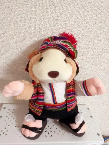 컬러풀한 민족 의상 봉제 인형