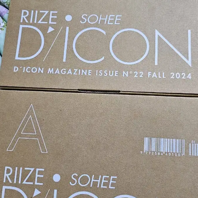 RIIZE | 라이즈 Riize Dicon Wonbin Version B (excluding poca
