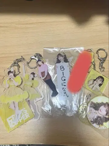 하야세 노엘 묶음 판매