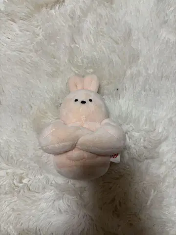 근육 토끼 MADONGCOM 근육 토끼