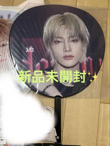 straykids 아이엔 부채 dominate