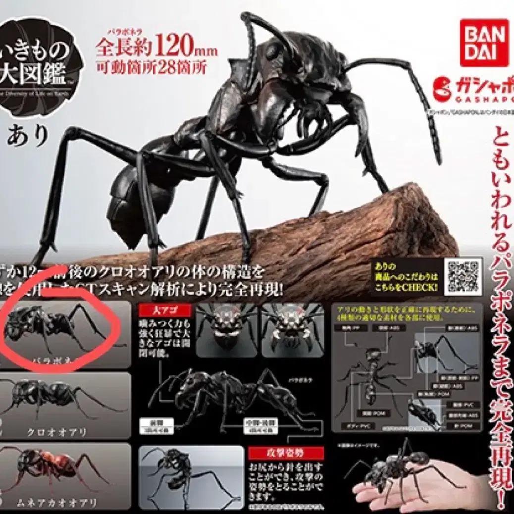 BANDAI | 반다이 Genuine Bandai Creature Encyclopedia Ant Series - Paraponera  Bullet Ant #반다이,#생물대도감,#캡슐토이,#가챠,#피규어 on Bunjang Global Site.