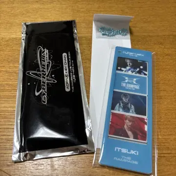 Cyberhelix 후지와라 키 사진 그레이 아크릴 키링