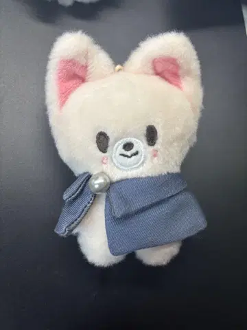 Stray Kids 스키즈 아이엔 포쿠시니 SKZOO 10cm