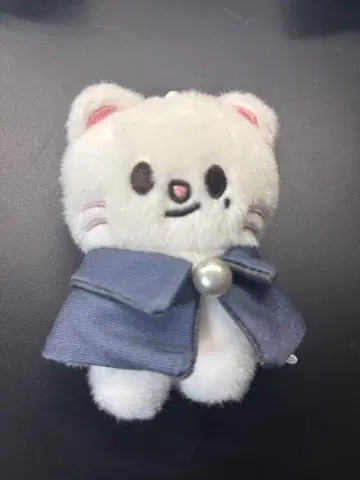 straykids SKZOO 10cm 봉제 인형 지니레트 jiniret