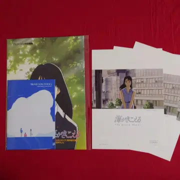 급한 발송 새상품 바다 소리가 들리는 팜플렛 전단지 한정판