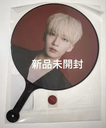 SEVENTEEN 세부치 POWEROF LOVE 부채 정한