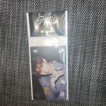 Stray Kids WOWPASS 방찬 스키즈