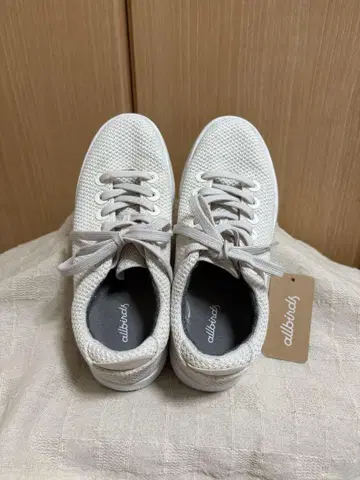 allbirds 올 버즈 트리 파이퍼