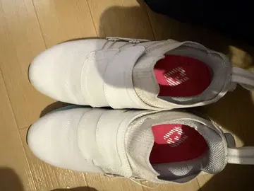 풋조이 골프화 여성용 24.5cm