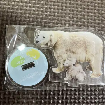 야기야마 동물공원 북극곰 쌍둥이 야기야마 동물원 아크릴 스탠드