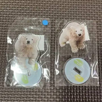 야기야마 동물 공원 북극곰 쌍둥이 야기야마 동물원 아크릴 스탠드