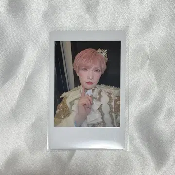 팬더 드래곤 타이 가 하피카