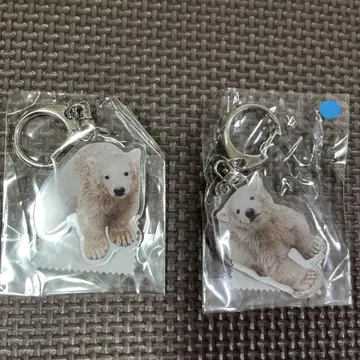 야기야마 동물공원 북극곰 쌍둥이 야기야마 동물원 키링