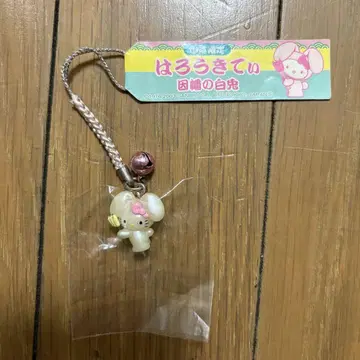 지역 키티 산인 한정판 이나바의 화이트 토끼