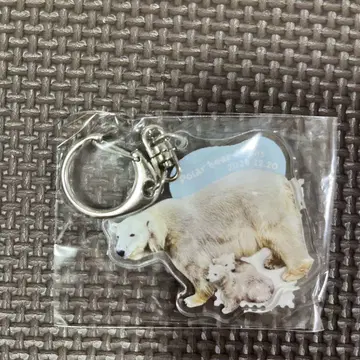 야기야마 동물공원 북극곰 쌍둥이 야기야마 동물원 키링