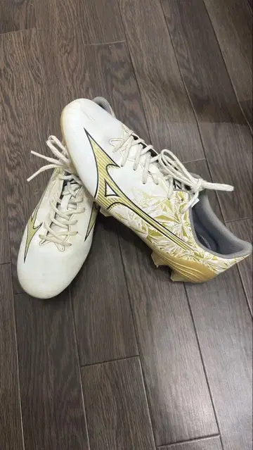 미즈노 알파 26cm
