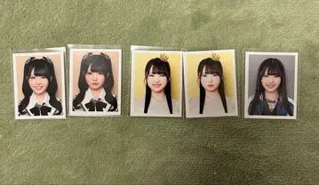 이치하라 아유미 ID 사진 묶음 판매