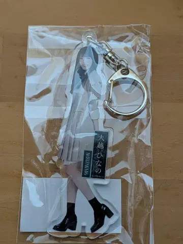개별 전신 아크릴 키링/네이블 오렌지 오코시 히나노 [미개봉품]