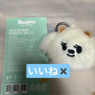 TXT 뿔바투 붐구 페이 키링