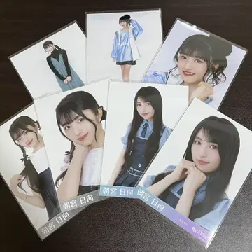 raintree 아사미야 히나타 브로마이드 7장 묶음 판매