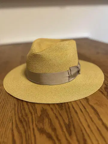 THE H.W.DOG&CO. PAPER HAT SIZE34