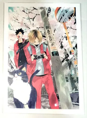 하이큐!! 쿠로오 테츠로 코즈메 켄마 엽서 하이큐 전 겐가타이칸