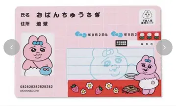 빤쮸토끼 마이 넘버 커버 + 카드 세트 아베일
