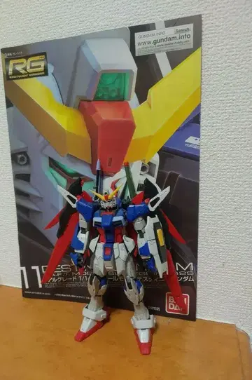 1/144RG 건담 데스티니 설명서 포함 완제품 동시 300엔 할인