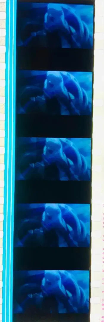 에반게리온 신극장판 파 Blu-ray 첫 구매 혜택 필름 마키하 마리