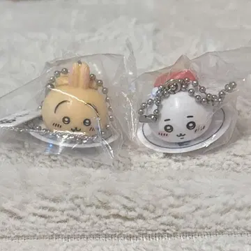 치이카와 (먼작귀) 쿠라스시 토끼