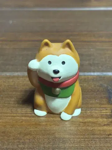 네이비, 시바견
