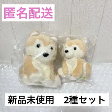 쿠타리 시바견 일본 맑은 날 봉제 인형 마스코트 후사짱 2종 세트