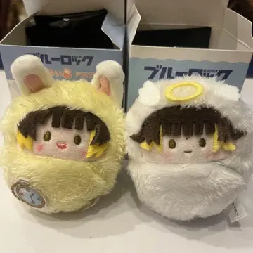 블루 록 싸개 타피누이 하치라쿠