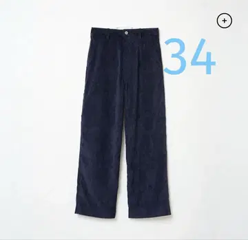 시시키이 페인터 C / 코듀로이 네이비 34