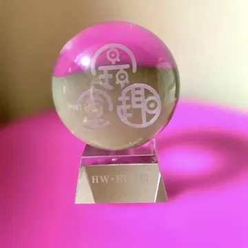 HW KF 전대 입상